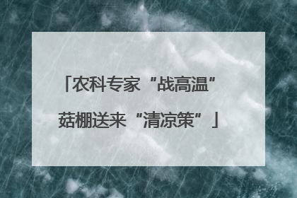 农科专家“战高温” 菇棚送来“清凉策”