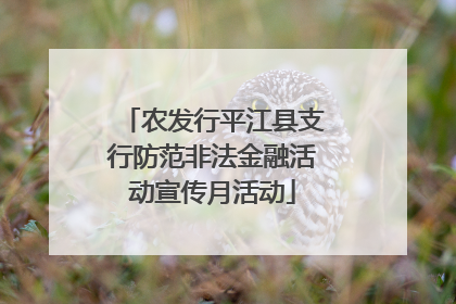 农发行平江县支行防范非法金融活动宣传月活动