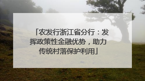 农发行浙江省分行：发挥政策性金融优势，助力传统村落保护利用