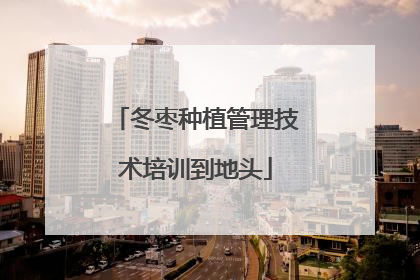 冬枣种植管理技术培训到地头