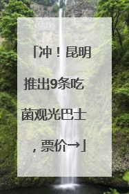 冲！昆明推出9条吃菌观光巴士，票价→