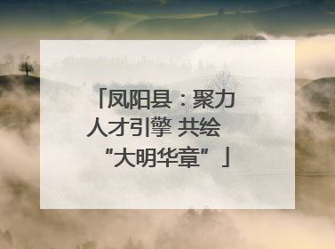 凤阳县：聚力人才引擎 共绘“大明华章”