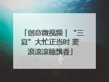 创意微视频｜“三夏”大忙正当时 麦浪滚滚穗飘香
