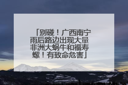 别碰！广西南宁雨后路边出现大量非洲大蜗牛和福寿螺！有致命危害