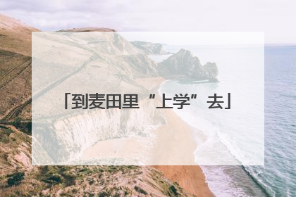 到麦田里“上学”去