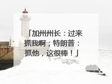 加州州长：过来抓我啊；特朗普：抓他，这很棒！