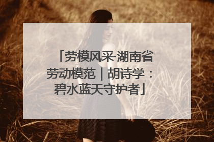 劳模风采·湖南省劳动模范｜胡诗学：碧水蓝天守护者