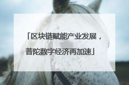 区块链赋能产业发展，普陀数字经济再加速