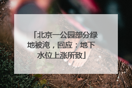 北京一公园部分绿地被淹，回应：地下水位上涨所致