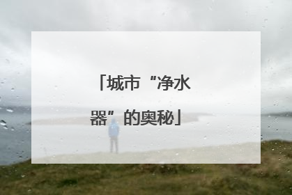 城市“净水器”的奥秘