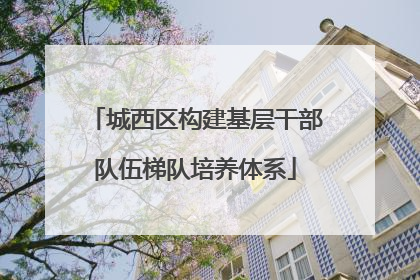 城西区构建基层干部队伍梯队培养体系