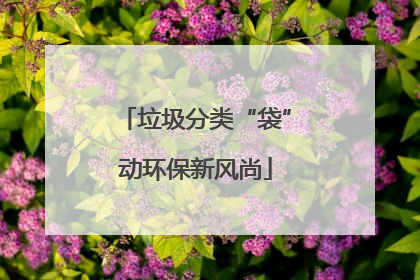 垃圾分类“袋”动环保新风尚
