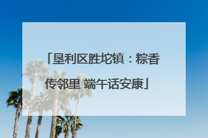 垦利区胜坨镇：粽香传邻里 端午话安康