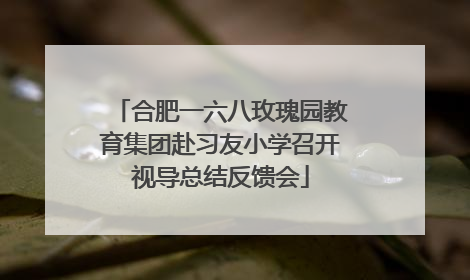 合肥一六八玫瑰园教育集团赴习友小学召开视导总结反馈会