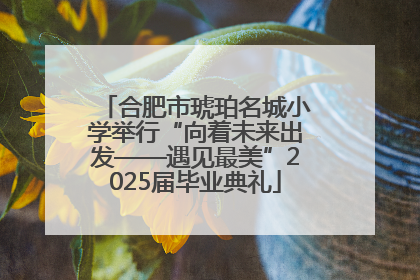 合肥市琥珀名城小学举行“向着未来出发——遇见最美”2025届毕业典礼