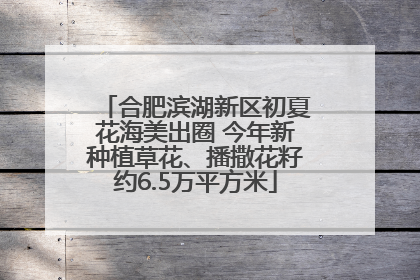 合肥滨湖新区初夏花海美出圈 今年新种植草花、播撒花籽约6.5万平方米