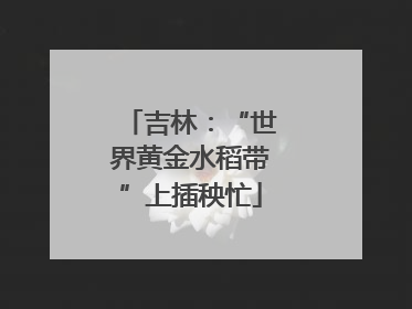 吉林：“世界黄金水稻带”上插秧忙