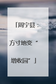 周宁县：方寸地变“增收园”