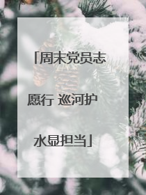 周末党员志愿行 巡河护水显担当