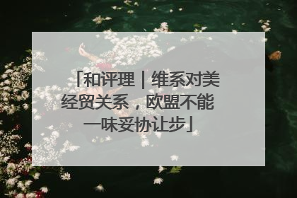 和评理｜维系对美经贸关系，欧盟不能一味妥协让步