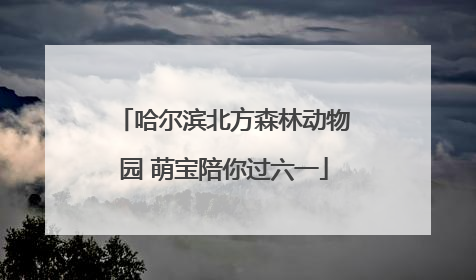 哈尔滨北方森林动物园 萌宝陪你过六一
