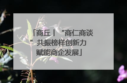 商丘丨“商仁商谈”共振榜样创新力 赋能商企发展