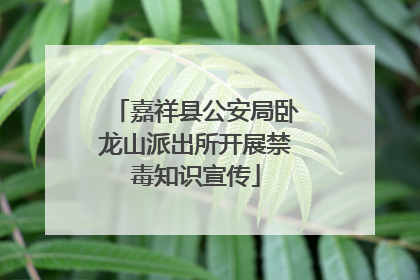 嘉祥县公安局卧龙山派出所开展禁毒知识宣传