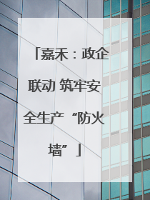 嘉禾：政企联动 筑牢安全生产“防火墙”