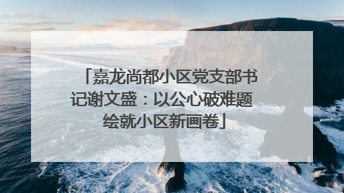 嘉龙尚都小区党支部书记谢文盛：以公心破难题 绘就小区新画卷