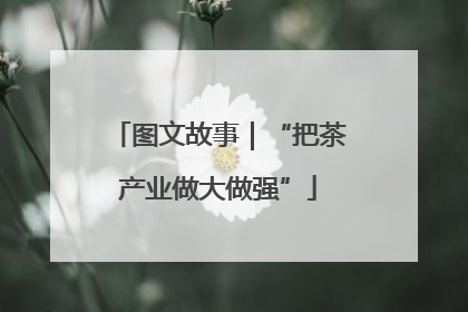 图文故事｜“把茶产业做大做强”