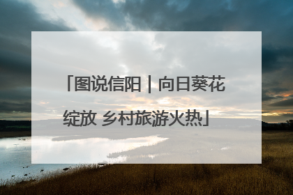 图说信阳｜向日葵花绽放 乡村旅游火热