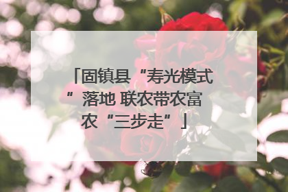 固镇县“寿光模式”落地 联农带农富农“三步走”