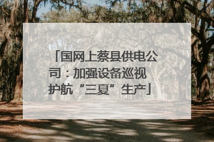 国网上蔡县供电公司：加强设备巡视 护航“三夏”生产