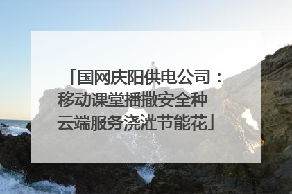 国网庆阳供电公司：移动课堂播撒安全种 云端服务浇灌节能花