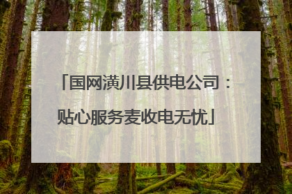 国网潢川县供电公司：贴心服务麦收电无忧