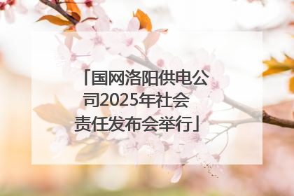 国网洛阳供电公司2025年社会责任发布会举行