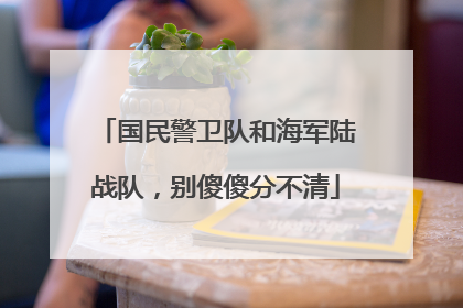 国民警卫队和海军陆战队，别傻傻分不清