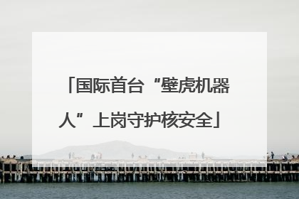 国际首台“壁虎机器人”上岗守护核安全