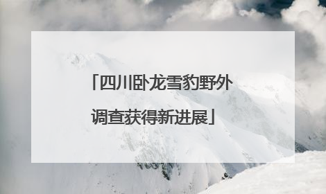 四川卧龙雪豹野外调查获得新进展
