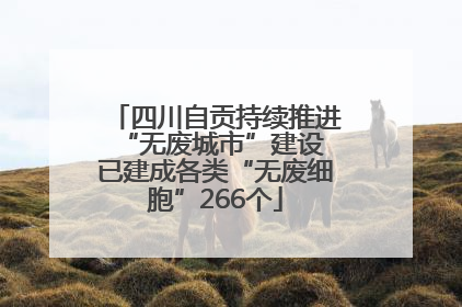 四川自贡持续推进“无废城市”建设 已建成各类“无废细胞”266个