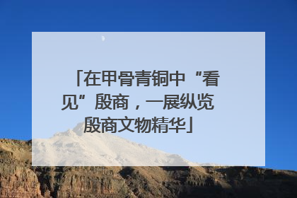 在甲骨青铜中“看见”殷商，一展纵览殷商文物精华