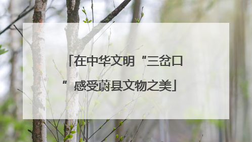 在中华文明“三岔口”感受蔚县文物之美