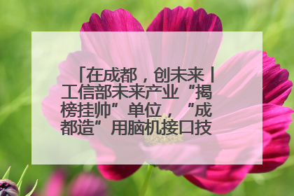 在成都，创未来丨工信部未来产业“揭榜挂帅”单位，“成都造”用脑机接口技术造福孤独症儿童