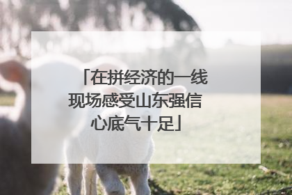 在拼经济的一线现场感受山东强信心底气十足