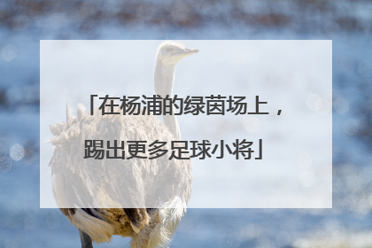 在杨浦的绿茵场上，踢出更多足球小将