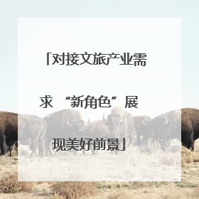 对接文旅产业需求 “新角色”展现美好前景