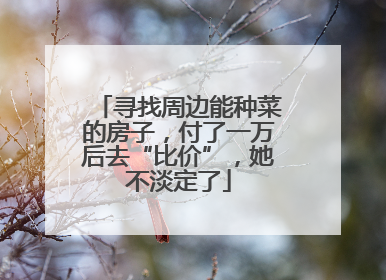 寻找周边能种菜的房子，付了一万后去“比价”，她不淡定了