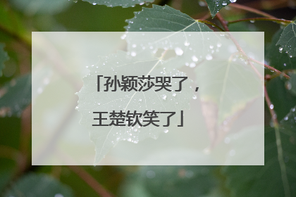 孙颖莎哭了，王楚钦笑了