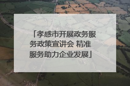 孝感市开展政务服务政策宣讲会 精准服务助力企业发展