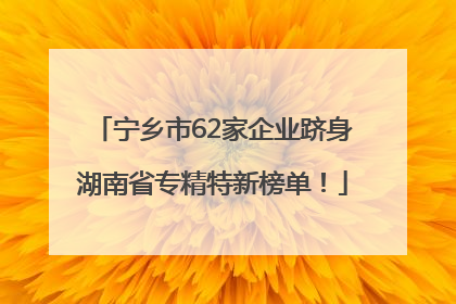 宁乡市62家企业跻身湖南省专精特新榜单！